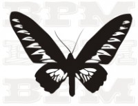 /album/hmyz/hmyz-20-jpg/